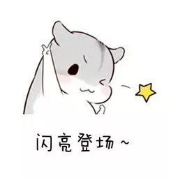 1576809984328278.jpg 2.webp.jpg